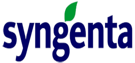 Logo référence 29