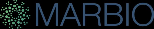 Logo référence 81