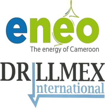 DRLLMEX logo