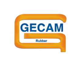 GECAM logo